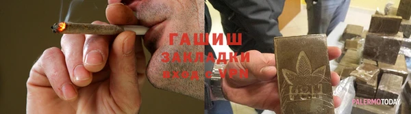 ГАЛЛЮЦИНОГЕННЫЕ ГРИБЫ Богданович